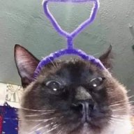 Enxrypted_Kix
